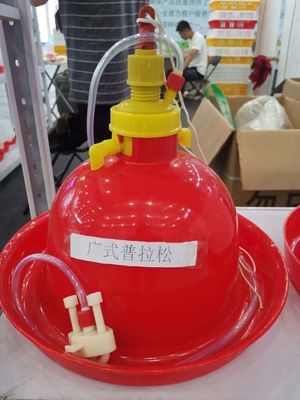 Automatic poultry pigeon dove feeder for chicken turbo feeder bucket chick manual bird