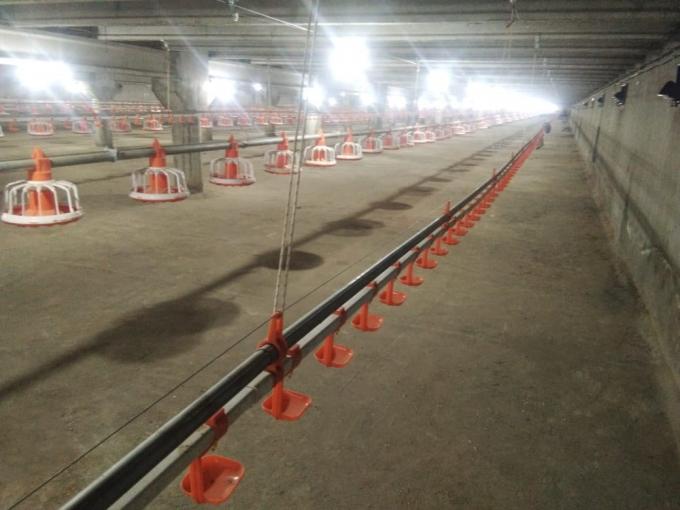 Автоматический лоток для кормления птицы из ПВХ трубы кормушки для цыплят с сосудом под давлением 3