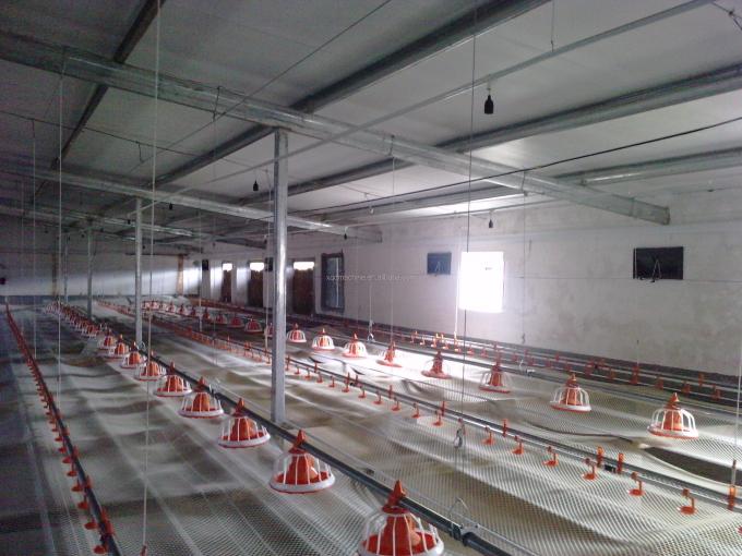 Автоматический лоток для кормления птицы из ПВХ трубы кормушки для цыплят с сосудом под давлением 5