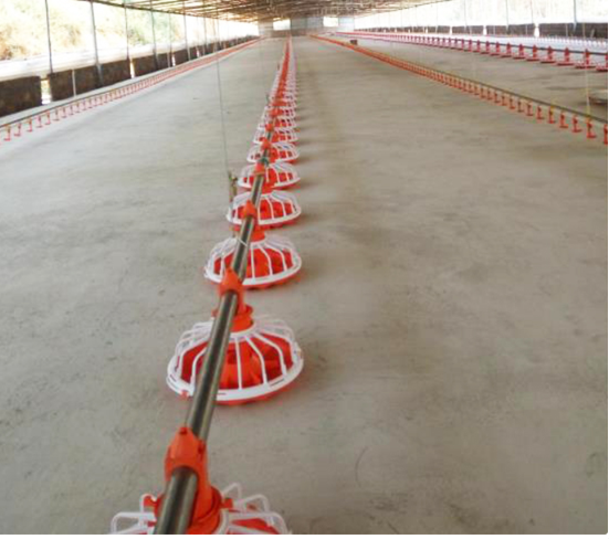 Полностью автоматический питатель шнека системы шнека птицы для фермы 0