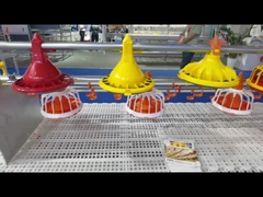 Автоматическая птицы питаться система