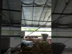 Подгонянное автоматическое напряжение тока оборудования фидера птицефермы регулируемое