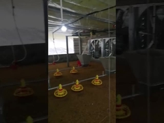 Подгонянное автоматическое напряжение тока оборудования фидера птицефермы регулируемое