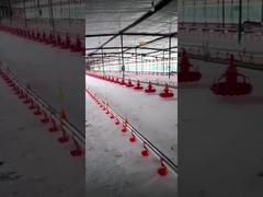 Пьяница колокола ведра Plasson автоматический для оборудования птицы пьяницы птицы