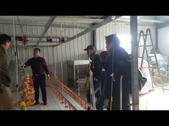 Ниппель Waterer пьяниц системы водообеспечения питьевой воды уток гусынь для обрабатывать землю размножения птицы птицы